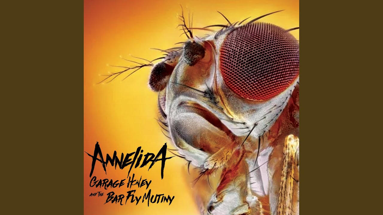 Assista a Mind Reader no YouTube Assista a Mind Reader no YouTube