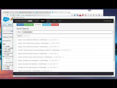 Salesforce XyTools video preview 2