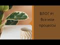 Влог #1. Все мои процессы. #вязовлог #вязаниеспицами