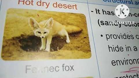 ساينس رابعه ابتدائى         SCIENCE J. 4 FIRST TERM / CONCEPT 1  LESSON 2   ( TYPES OF ADAPTATION)