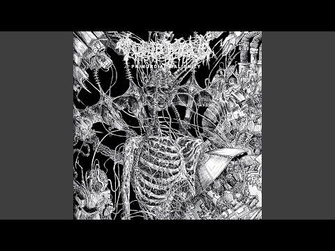 Cover image for YouTube video