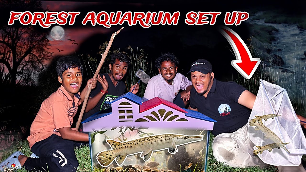 சின்ன பையனுக்கு Surprise 🎁 கடையில் வாங்காமல் ஆத்துல நேரடியாக மீன் புடிச்சு Fish Tank Setup  in night