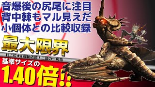 【MHP2G】モノブロス最大限界サイズ【2805.9】
