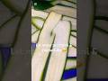 Holiday Quick Snacks Inspiration Quickrecipeseries Cookingshortsvideo Cookingtips Kenya Culture Holiday Quick Snacks Inspiration Quickrecipeseries Cookingshortsvideo Cookingtips Kenya Culture