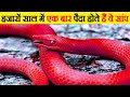 सांप की 10 सबसे दुर्लभ प्रजाति | 10 snakes that are born only once in a thousand years | Rarest pig