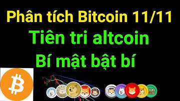 Phân tích bitcoin altcoin hôm nay ngày 11/11 cập nhật thị trường crypto mới nhất hôm nay