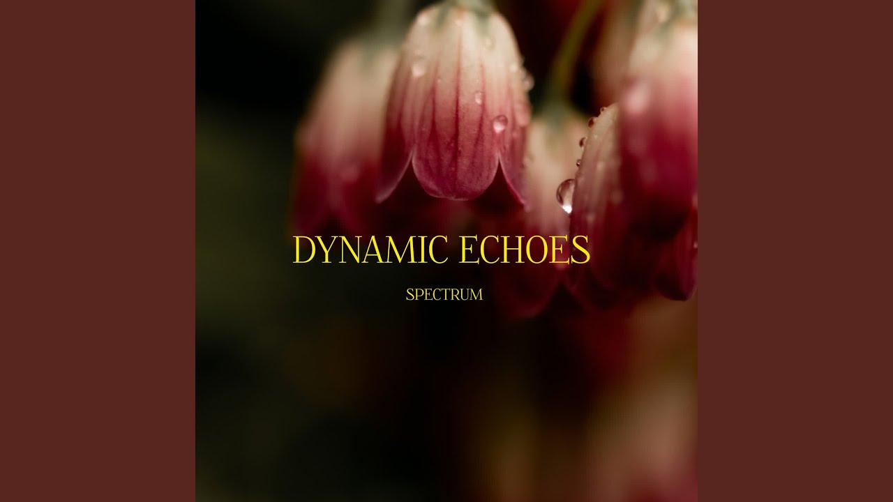 Dynamic Echoes adlı videoyu YouTube'da izle Dynamic Echoes adlı videoyu YouTube'da izle