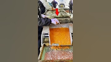 Inside the Artificial Breeding of Salmon😱 #shorts