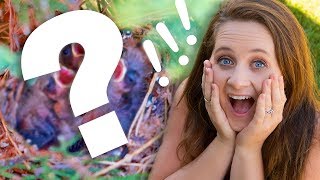 SHE WAS SURPRISED AT WHAT WE FOUND!!