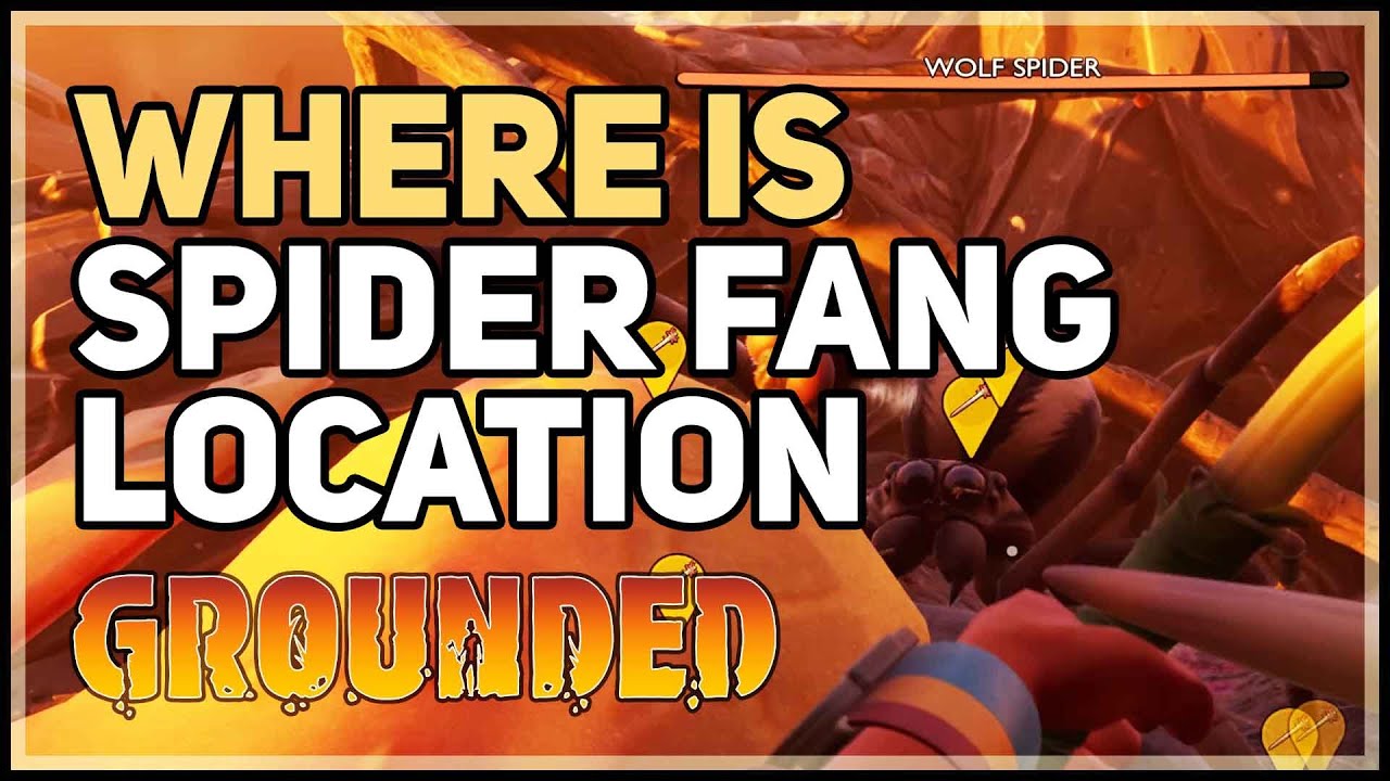 Grounded Spider Fang Location Youtube