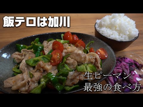 【飯テロ】生ピーマン最強の食べ方【飯動画】【料理】【ASMR】