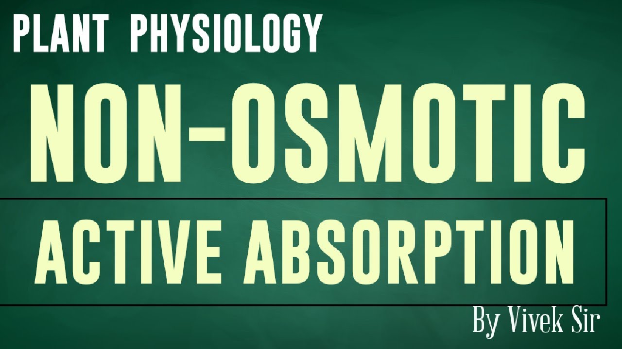 Non Osmotic Active Absorption Class 11 NEET Water Absorption