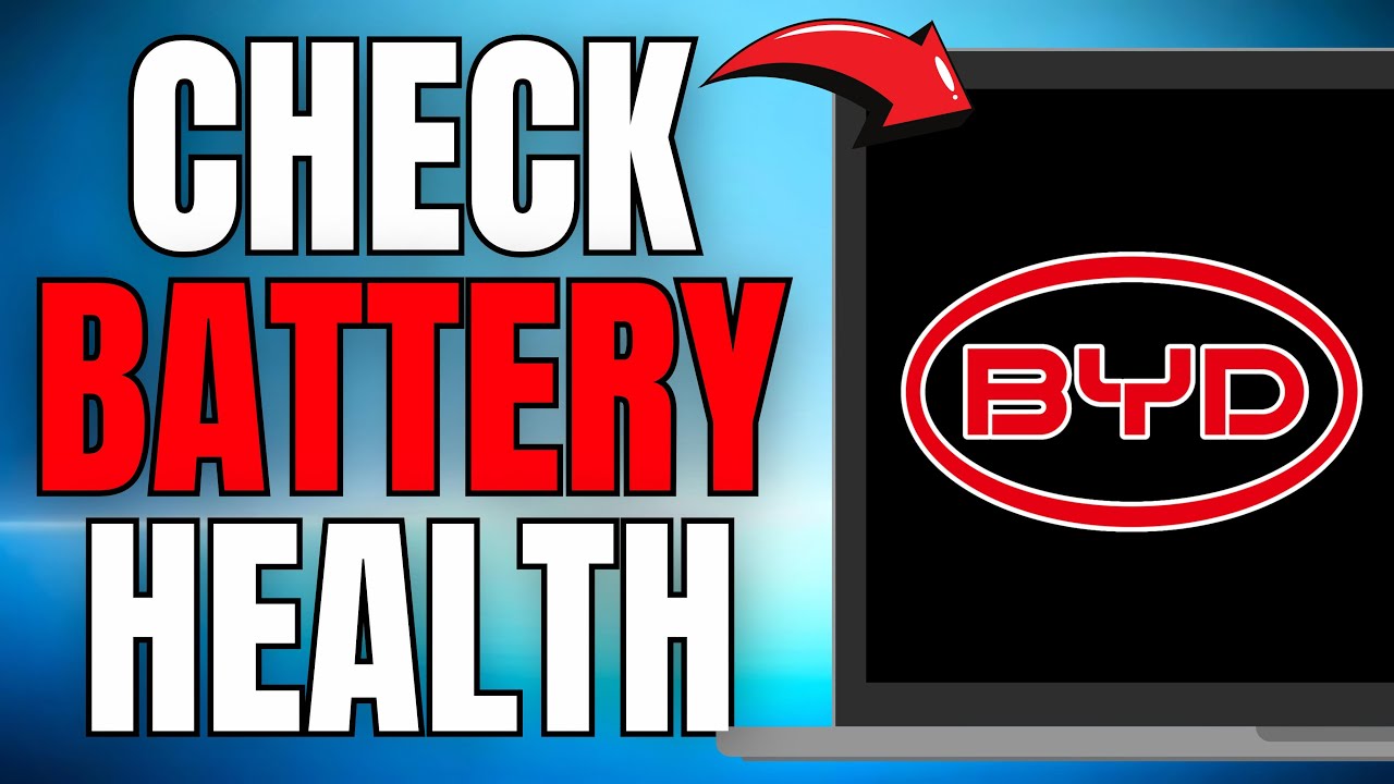 How to Check Battery Health on BYD Qin Plus BEV + PHEV! (EASY GUIDE) [2025]