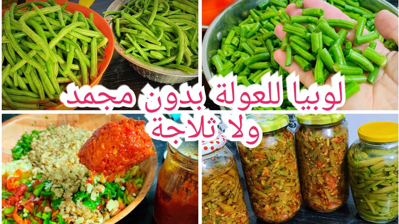 لوبيا خضراء موشطو مشرملة مكدوس فاصولياء بالجزايرية لدار العولة يبقى معاك سنة فالبلاكار فقط