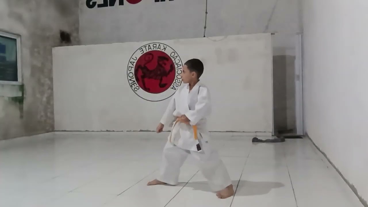 🇧🇷 KARATEJAP 🇯🇵 NÊS 