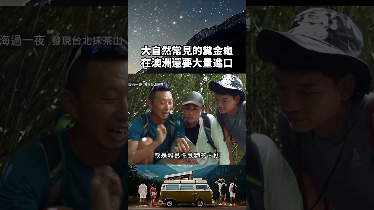 大自然常見的分解者糞金龜價值高!在澳洲還需要被大量進口!|上山下海過一夜 #shorts 縮圖
