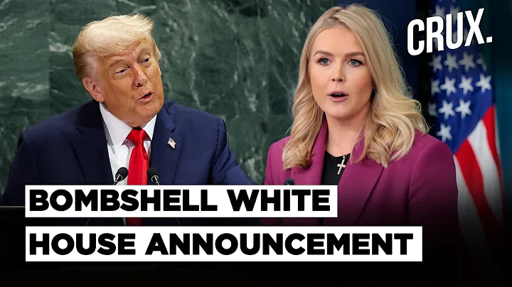 "Manufactured Hoax" White House Says Democrats Leaked Epstein Emails To 'Smear' Trump | US News