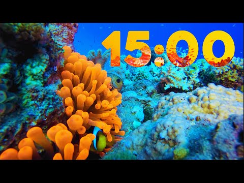 15 Minute 4K Aquarium Countdown with Relaxing Piano Music ??