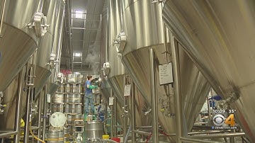 Excess CO2 To Be Gathered From Brewing Process For Marijuana Cultivation