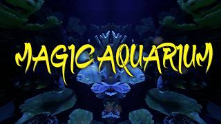 Magic Aquarium Vol.2 – 6.5 Hours of Relaxing Underwater Visuals & Music in 4K