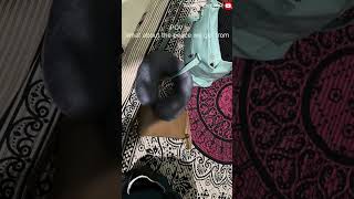 Travelling Is Just A Waste Of Money Travel For Life