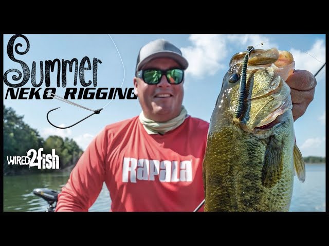 5 Tips for Neko Rigging Worms for Summer Bass 