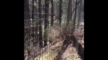 Barrier backstop netting behind basketball goal black netting black 4 in. Poles 12 ft. Of ground