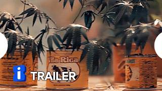 Verão da Lata | Trailer Oficial