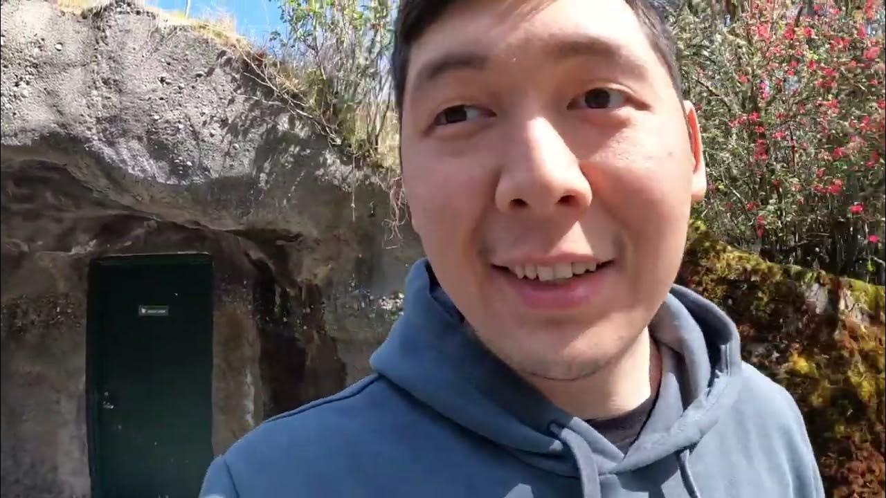 Point Defiance ZOO & Auarium YouTube