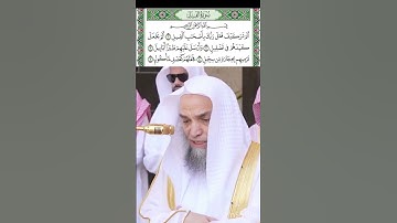 #سورة_الفيل قراءة#الشيخ_فيصل_غزاوي