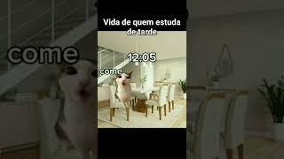 Vida de quem estuda de tarde