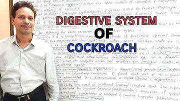 Digestive System of Cockroach(Periplaneta) | For  IAS,NEET,GATE,NET and BSc