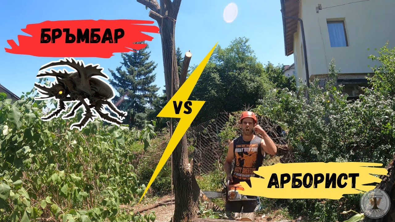 Изненади в края на деня (НАПАДАТЕЛЯ се оказа БРЪМБАР)!