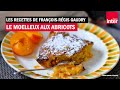 Le moelleux  labricot  les recettes dt de franoisrgis gaudry