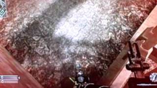 Cod mw reflex wii 2 strike glitches