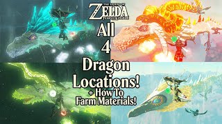 Zelda Tears of the Kingdom - All 4 Dragon Locations & Farming Guide - Dragons Paths & Materials