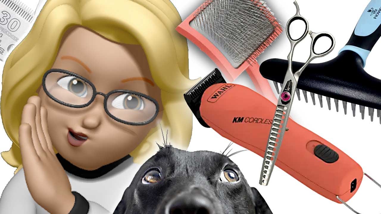 Image showcasing Members-only Pre-recorded Live dog grooming help with a fellow channel ...