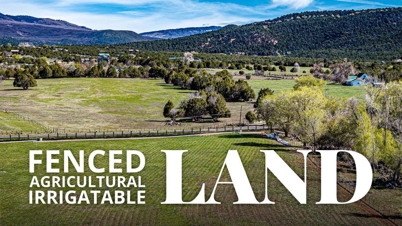 6.56 Acres of Agricultural Land with Ditch Rights | Cedaredge, Colorado Acreage for Sale