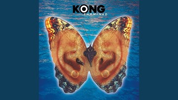 Spoomfly
