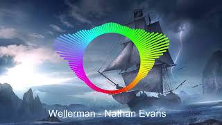 Video thumbnail of "Wellerman - Nathan Evans (audio visualization)"