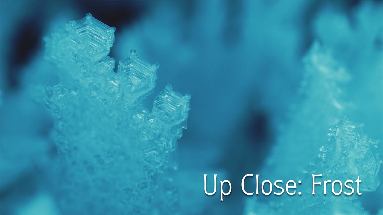 Up Close: Frost