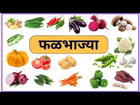 फळभाज्या | फळभाज्यांची नावे | Falbhajya | falbhajya nave | bhajya | bhajyanchi nave marathi | 2023