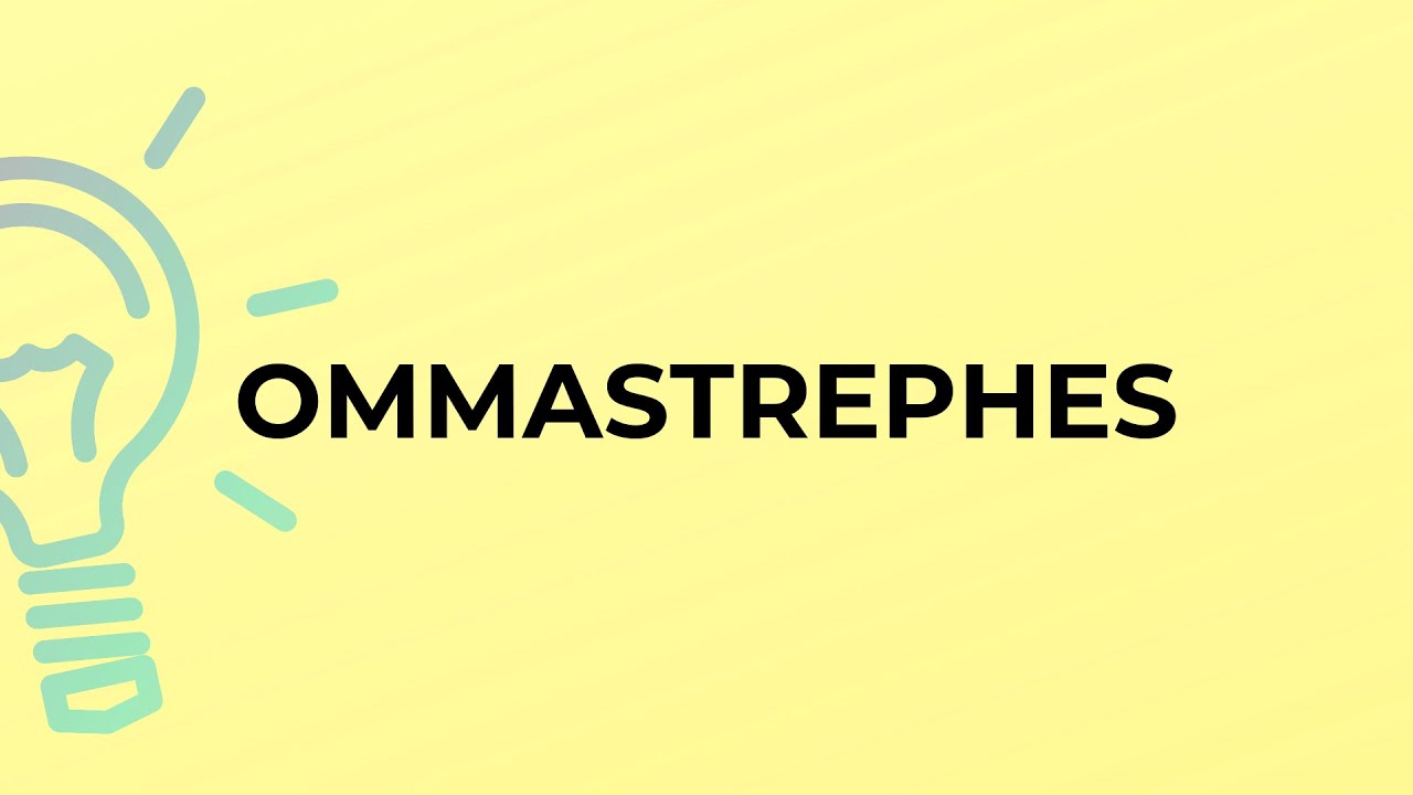 What is the meaning of the word OMMASTREPHES?