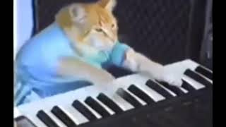 кот играет на пианино