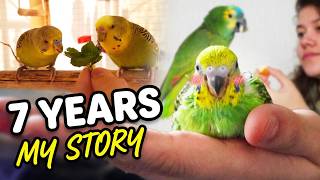 Tiny Birds Took Over my Home! LIFE STORY 🏡🐦