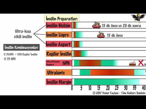 Diyabet Tedavisi-İnsülin ve Oral Hipoglisemik İlaçlar