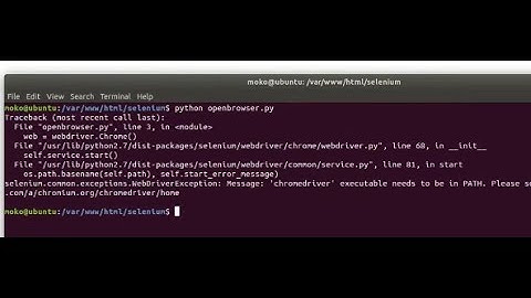 How to fix Selenium Error (Python) - Message: 