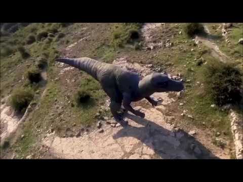Los dinosaurios carnívoros del Cretácico no competían por las presas -  YouTube