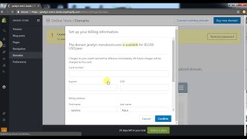 Shopify Tutorial - How to Buy a Domain for Your Store From Shopify - Janelyn