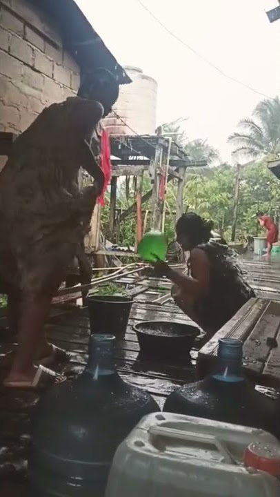 liat tetangga mandi hujan